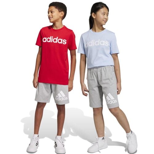 Adidas Essentials Big Logo Cotton Shorts